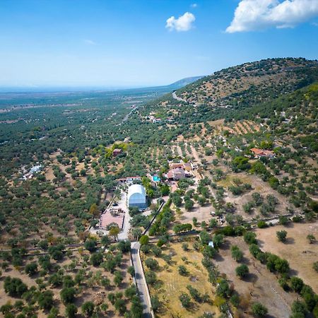 Le Cese Bed & Breakfast Сан Джовани Ротондо Екстериор снимка